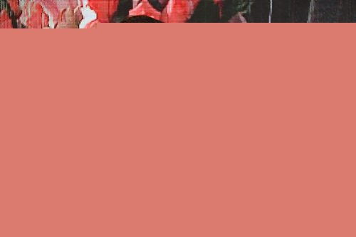 在陜西省三八婦樂志愿者聯合會 第一次會員代表大會上的致辭